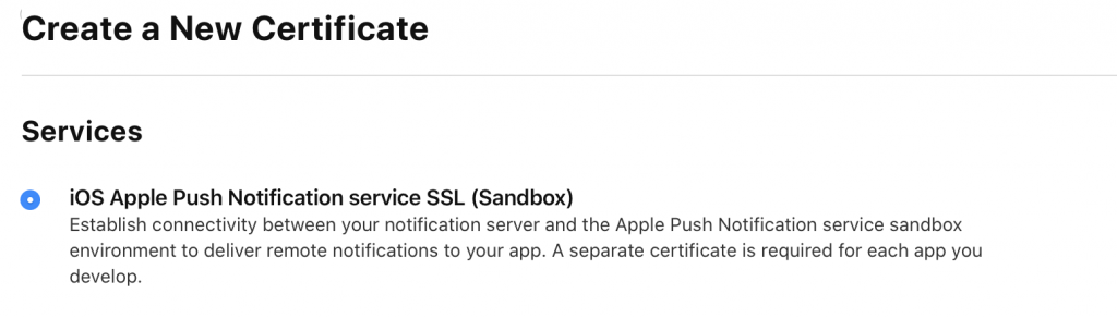 apple sandbox push services